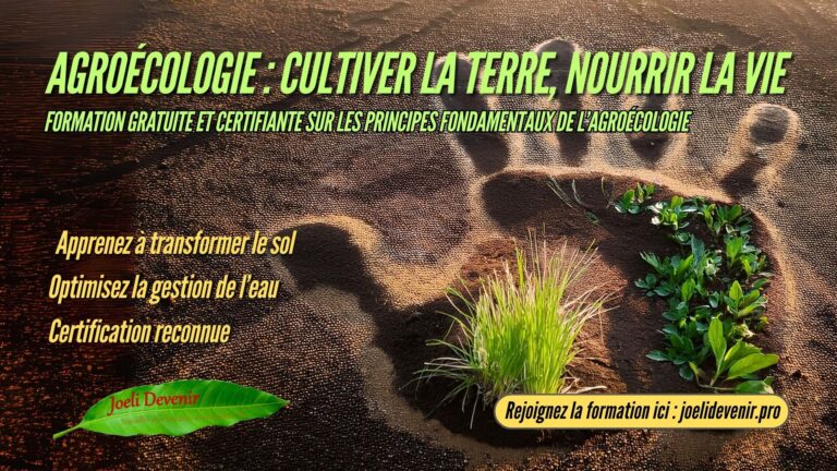 🌿 Agroécologie : Cultiver la terre, nourrir l’avenir
