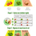 3 étapes pour cultiver toute l’année+