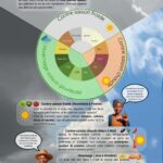 Infographie la roue des saisons