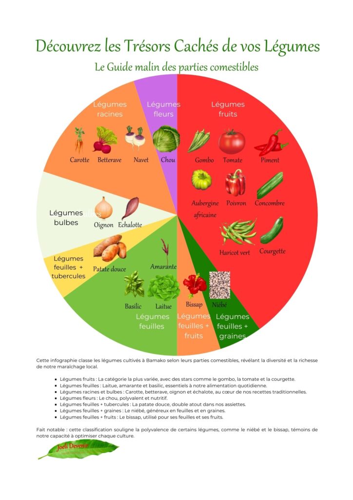 Le guide malin des parties comestibles des légumes
