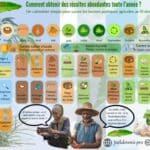 Infographie le calendrier malin