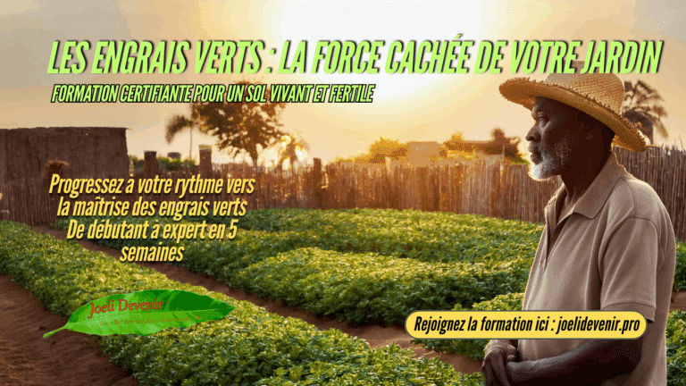 🌿 Les engrais verts : la force cachée de votre jardin