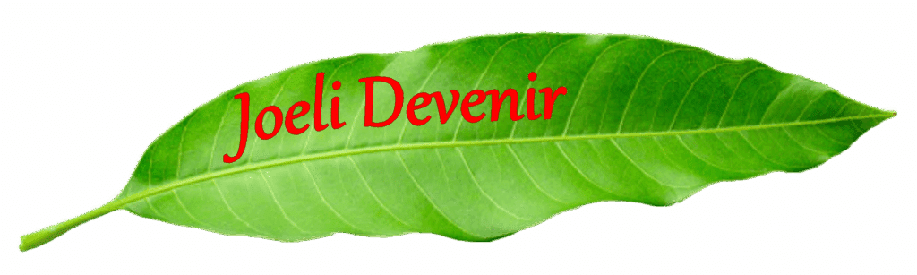 logo_large_entete
