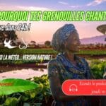 Vignette YouTube podcast Urgent Grenouille