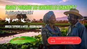 Vignette YouTube podcast Urgent Grenouille