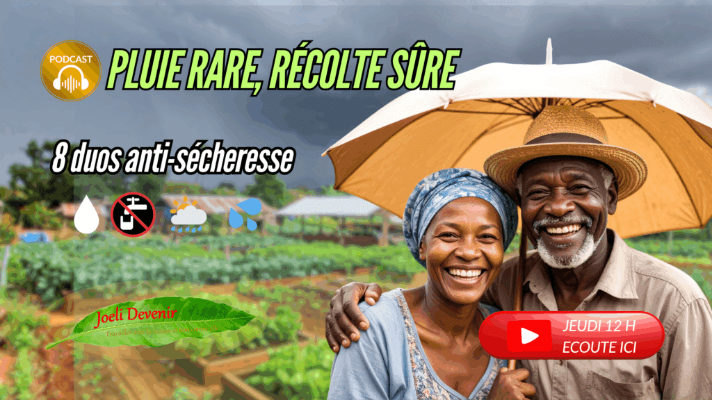 Vignette Youtube pluie rare récolte sure