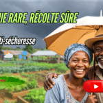 Vignette Youtube pluie rare récolte sure