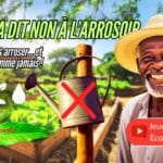 Vignette Youtoube Moussa dit Non à l’arrosoir