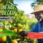 Vignette Youtube, Plante une haie