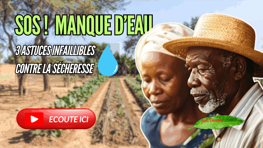 Vignette stress hydrique