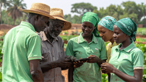 groupe d'étudiants autour d'un smartphone