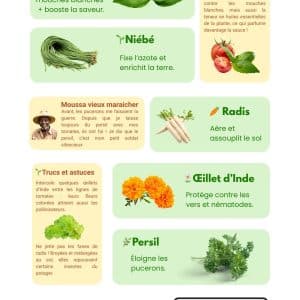 infographie les amis de la tomate