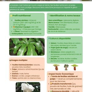 fiche technique baobab