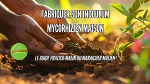 image article fabriquer son inoculum maison