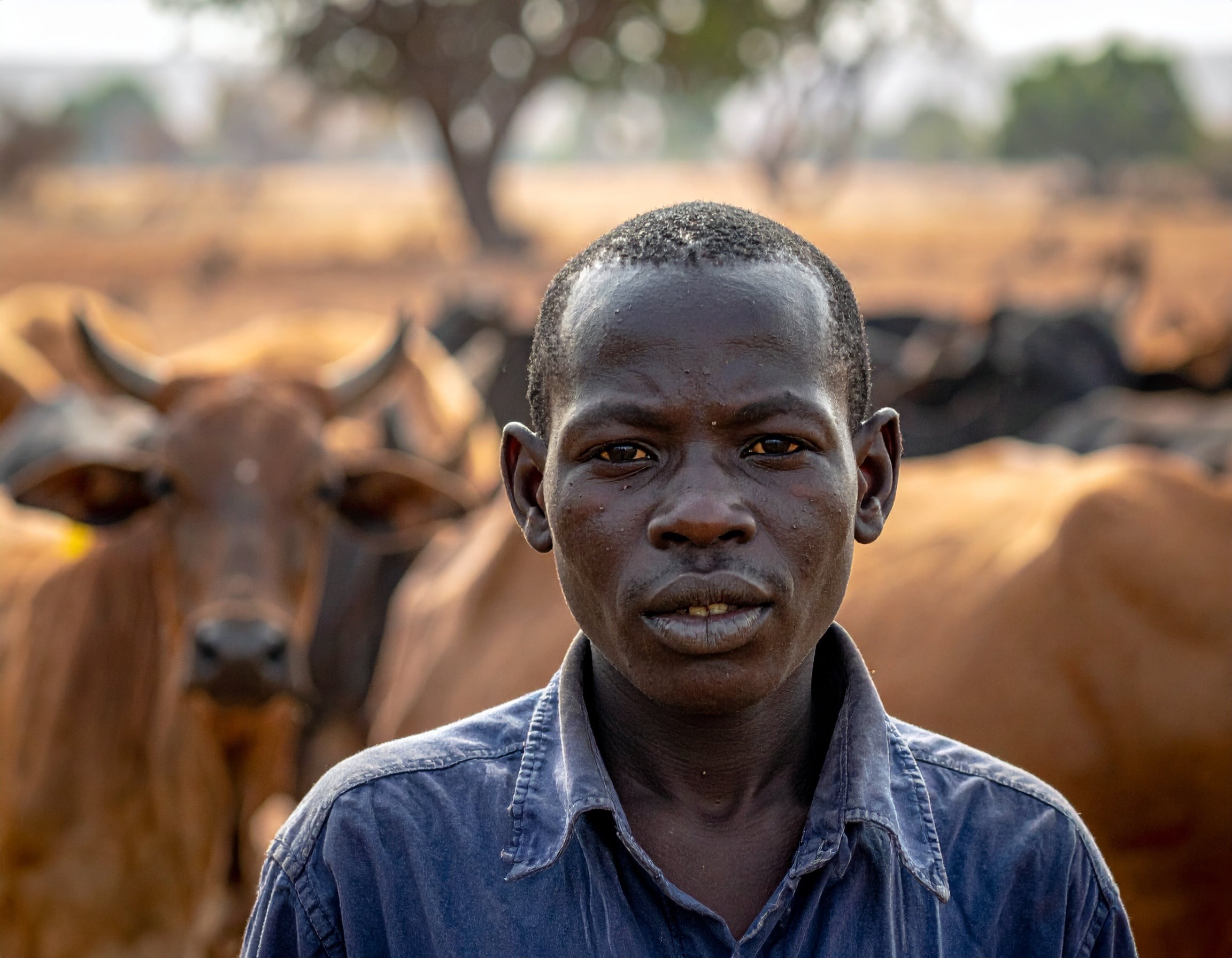 Mahamadou eleveur à Ségou