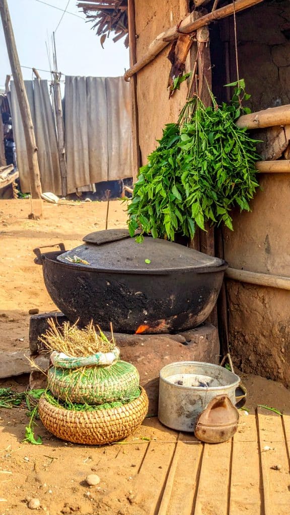 fourneau ail et neem