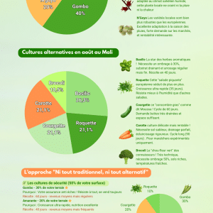 Infographie – Cultures alternatives à Bamako (Août)