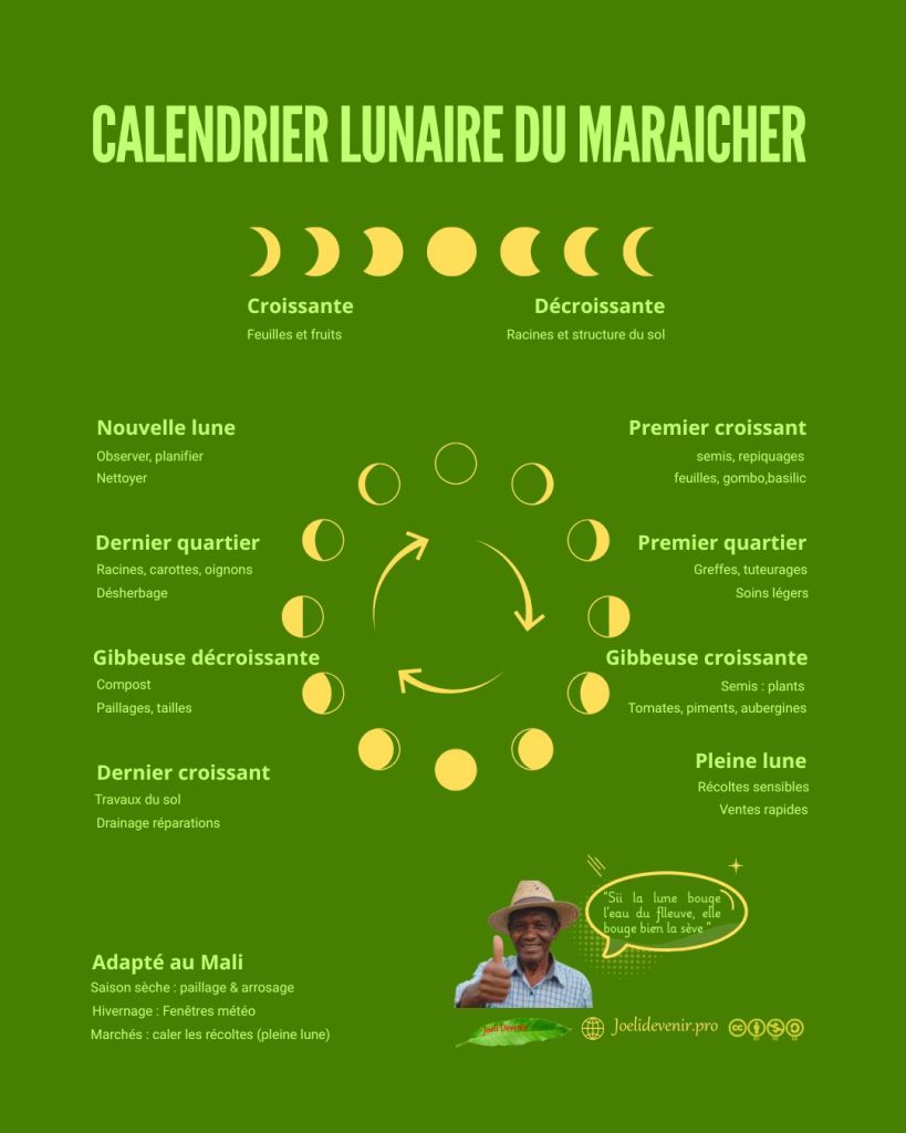 calendrier lunaire du maraicher