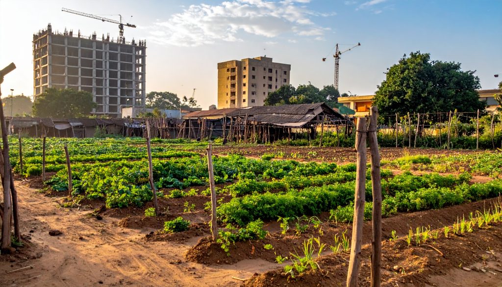 Immeuble et maraichage a Bamako