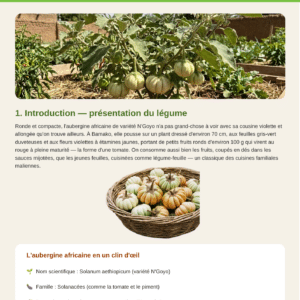 Un légume mal connu et pourtant 3e plus consommé d'Afrique tropicale : découvrez en 4 pages comment cultiver l'aubergine africaine N'Goyo en agroécologie au Sahel, la récolter, la conserver et en tirer un revenu régulier. Fiche PDF téléchargeable immédiatement après achat, signée Joeli Devenir.